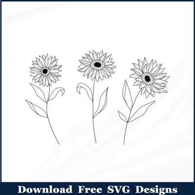 3 Sunflower outline Free SVG Download