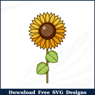 Sunflower single stem outline image Free SVG Download